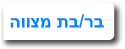 עוגות מעוצבות לבר - בת מצוה